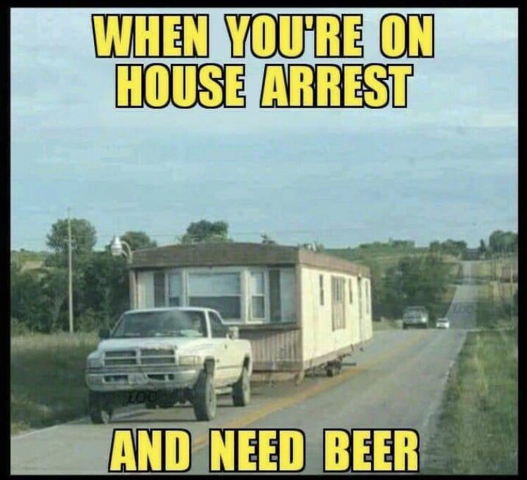 livvybeans's tweet photo. @DaleEccles19 gotta do what you gotta do🤷🏼‍♀️ https://t.co/LE5uTiJVEw