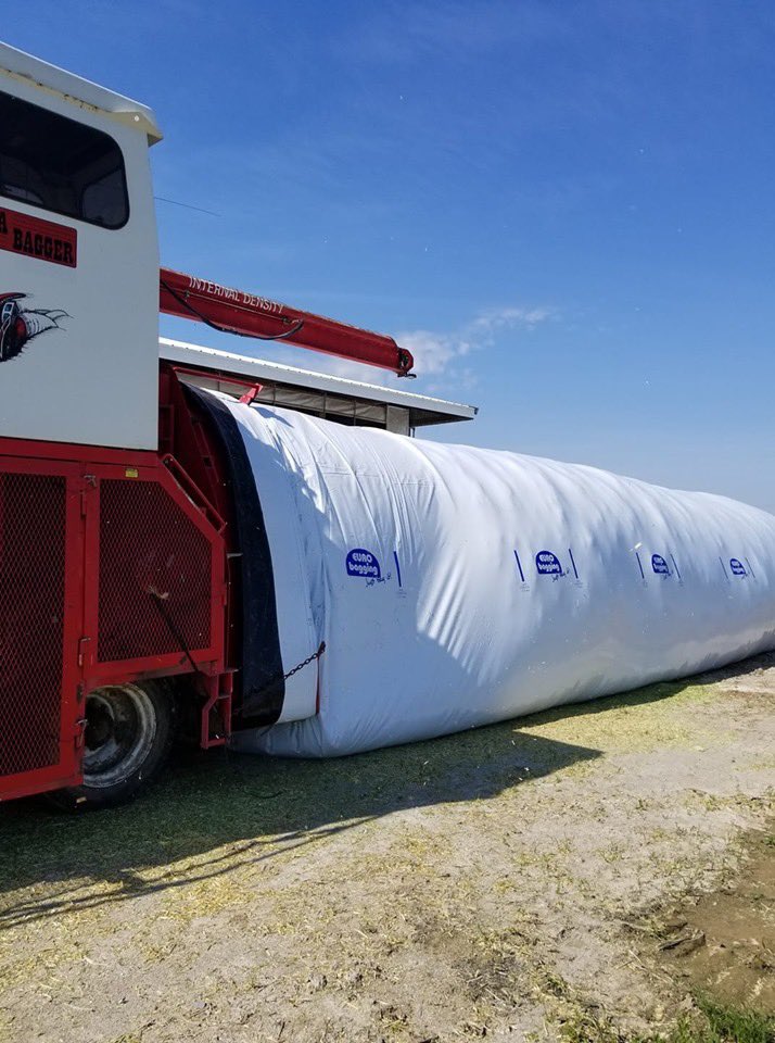 ProtexiaPlast's tweet photo. Our #Eurobagging silage bags look amazing ๐ #AgTwitter #SilageBags https://t.co/gB083NNSn2