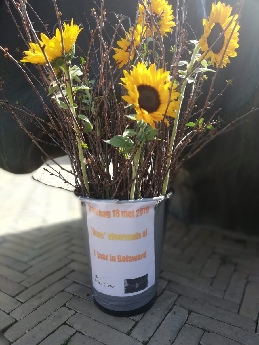 11fountains vandaag 1 jaar! Bolsward: dank voor de bloemen!👏