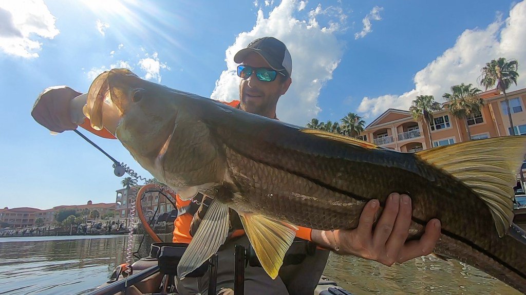 MooreApproved's tweet photo. Wrestling The Biggest Snook I’ve Ever Caught|Kayak Fishing https://t.co/UBsDNy1iKH https://t.co/OgT8lZ2Kk1