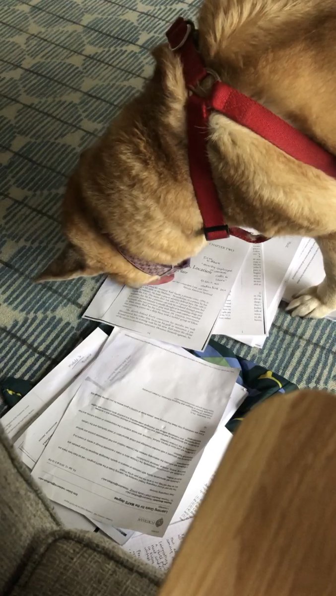 Today <a href="/EireannDolan/">Eireann Dolan</a> graduates summa cum laude from <a href="/FordhamGRE/">Fordham GRE</a> with a masters degree in religious studies!👩🏼‍🎓She worked so hard, I’m so proud of her. Sophia tried to eat her homework multiple times and she still got straight A’s! I ♥️ you E &amp; I can’t wait to see what you do next.