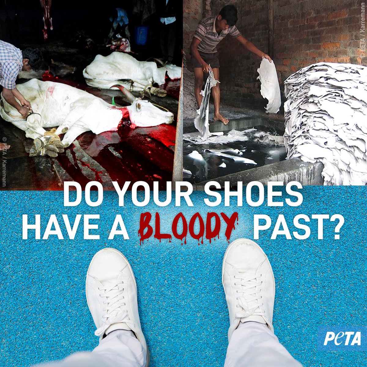 peta shoes