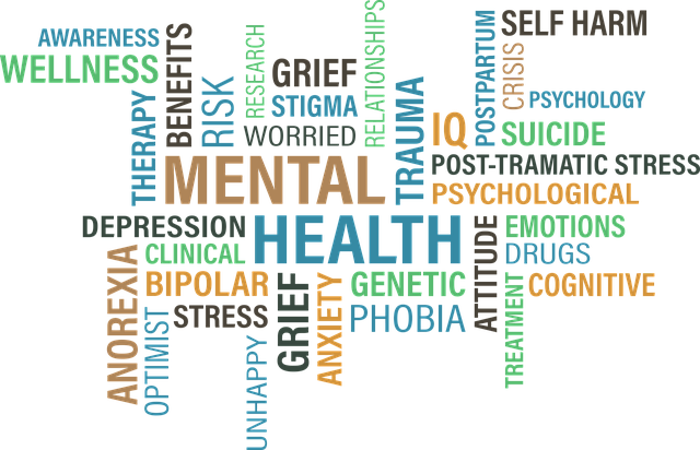 socscispace's tweet photo. "Whatever the level of awareness about #MentalHealth, it’s probably safe to say that awareness about mental health care system is considerably worse. And that's a real issue." #S3's Q&amp;A w/ the lead author, Joel Vos, of new book: 'Mental Health in Crisis.' https://t.co/bvU37g0ipK https://t.co/mjUc746J2p