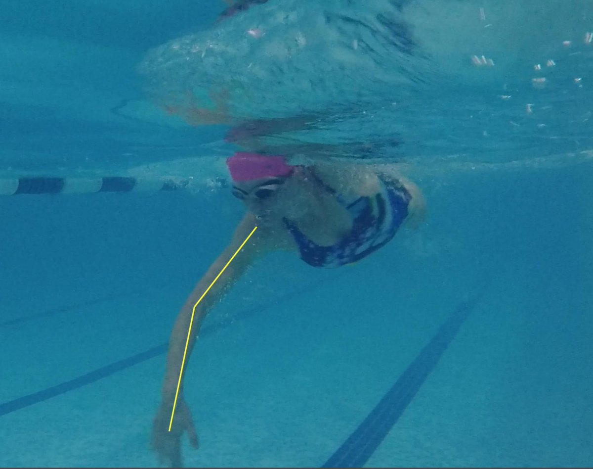 Triathlon Europe Coach tweet media
