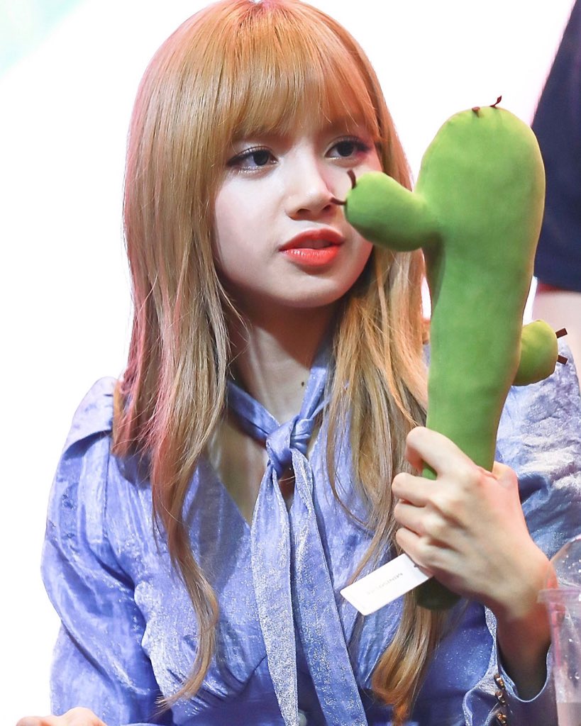 LISA STANS 💕 on Twitter: