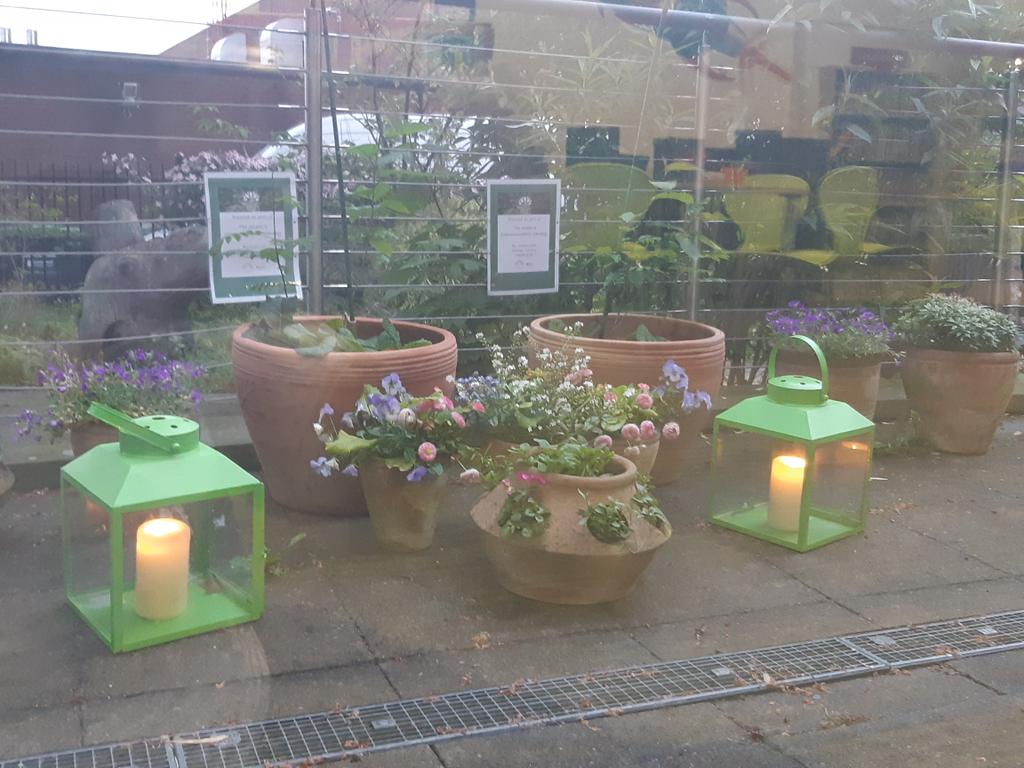 RidleyAnderson's tweet photo. Gateshead Central Library's Garden is looking especially cute this evening by candlelight for the @GatesheadLibs @TheLateShows https://t.co/WhrYi1NxZa