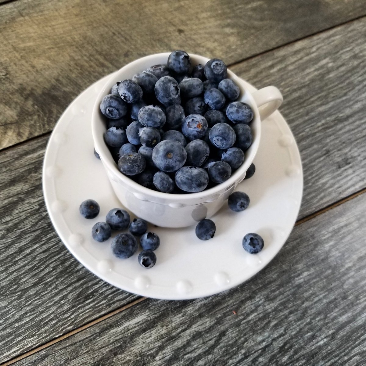 sypcoffee's tweet photo. SYPCOFFEE or Blueberries? Yes. Our new, naturally processed bean selection from Ethiopia is roasting beautifully, affording some of the deepest blueberry and honey notes we've experienced. You may even do a double take to ensure you didn't pour yourself a cup of blueberries. https://t.co/5QmrIgm9jE