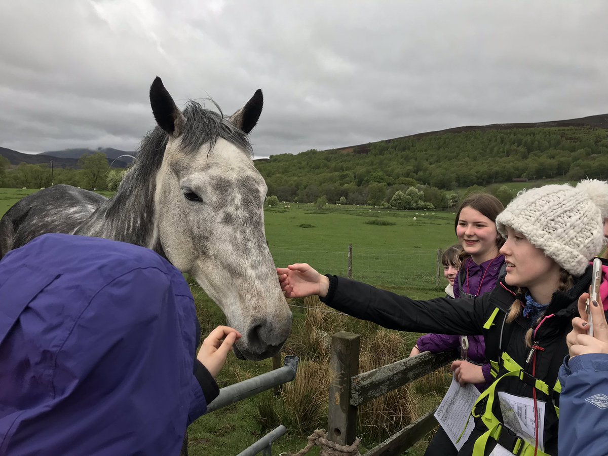 ForAcad's tweet photo. Neeeeeiiiggghhhh chance this group were going to move anytime soon! 😂 Great weekend with a great bunch on Bronze Practice. Roll on the assessment! #mydofe #dofe #FORperseverance #Forteamwork #FORvalues #everythingislearning #getoutside https://t.co/bkbwtBFJrV