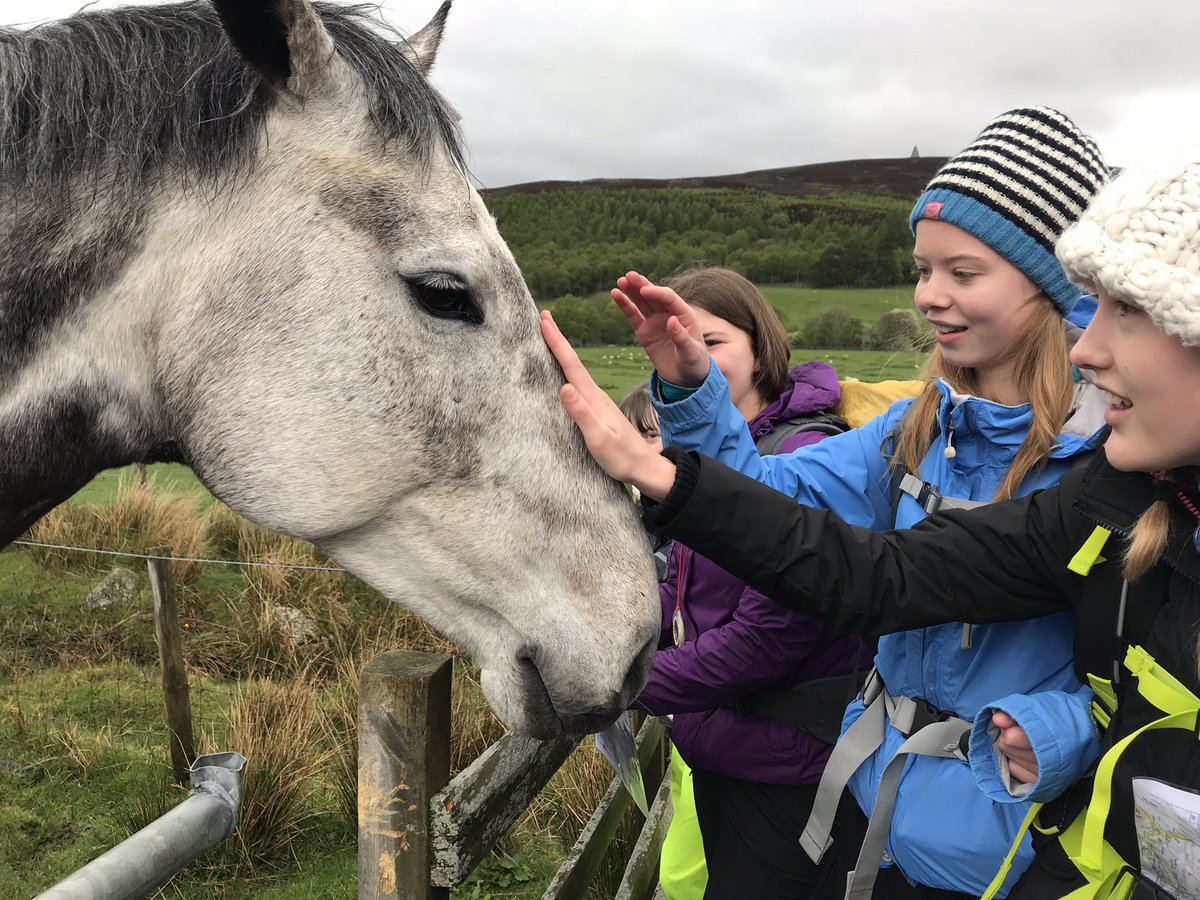 ForAcad's tweet photo. Neeeeeiiiggghhhh chance this group were going to move anytime soon! 😂 Great weekend with a great bunch on Bronze Practice. Roll on the assessment! #mydofe #dofe #FORperseverance #Forteamwork #FORvalues #everythingislearning #getoutside https://t.co/bkbwtBFJrV