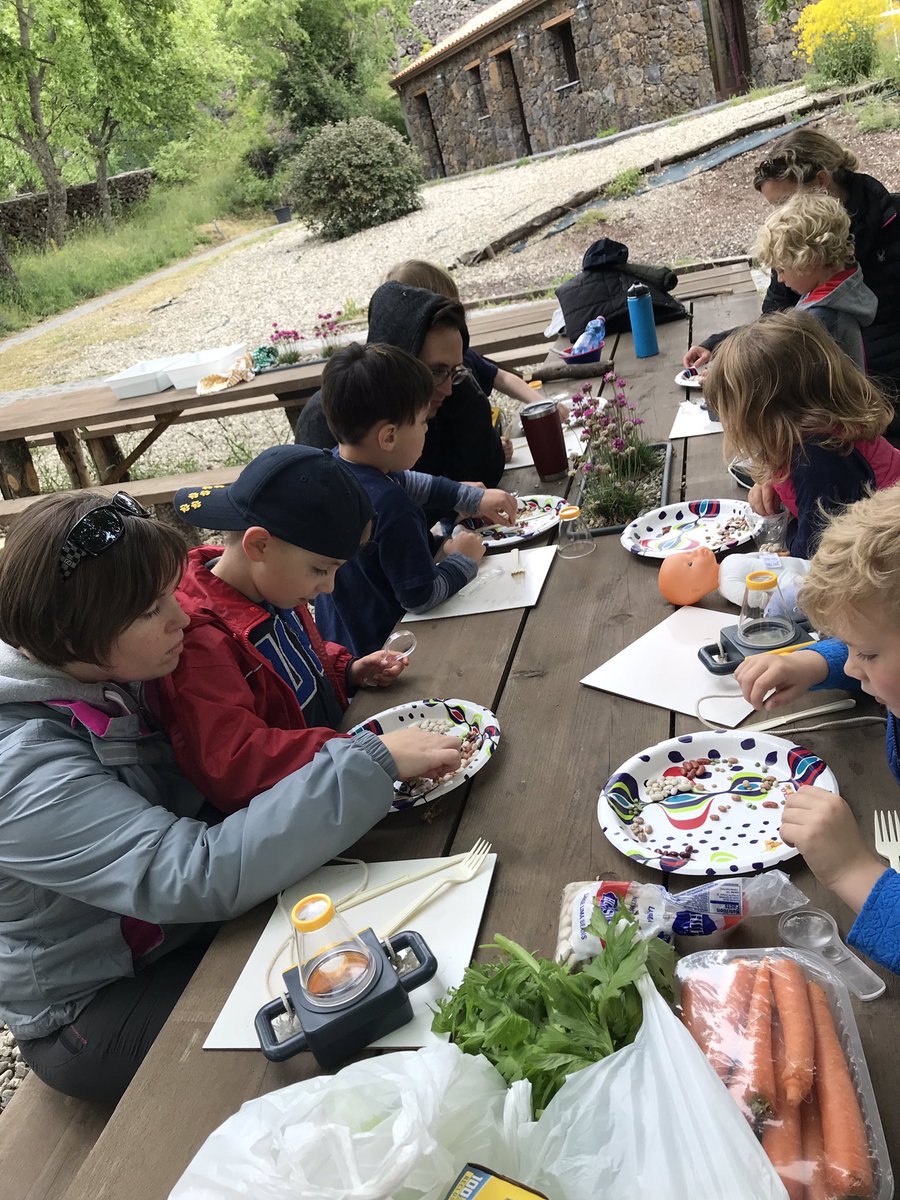 CSArnoldScience's tweet photo. Love sharing my love of teaching anywhere! #scouting #yesthatsaflower #pack53 #lionstotigers https://t.co/ABpyQAB6D1
