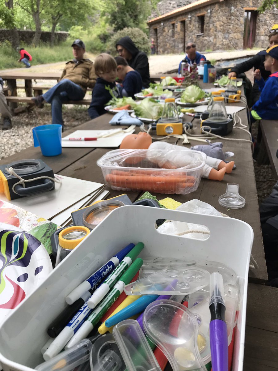 CSArnoldScience's tweet photo. Love sharing my love of teaching anywhere! #scouting #yesthatsaflower #pack53 #lionstotigers https://t.co/ABpyQAB6D1