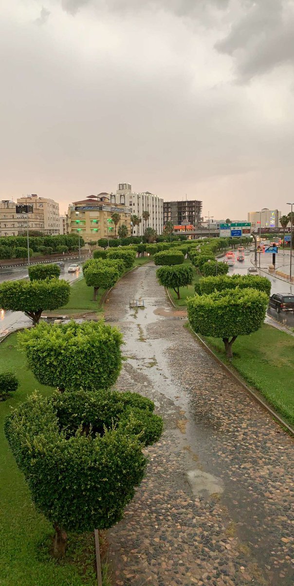 azoooz_qurashi's tweet photo. #صوره_من_امطار_الطايف https://t.co/vmBU2txa4d