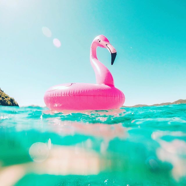 crosscreekym's tweet photo. IMPORTANT CCYM Summer Kick Off DATE change: kick off will be Saturday, June 1, 3-8pm (same location). We hope even more can come celebrate the summer 🌞and welcome Blaine and Auburn to our youth group! Please comment below if you can make it! This is … https://t.co/W6SG8QTulb https://t.co/Acl0K7VuSp