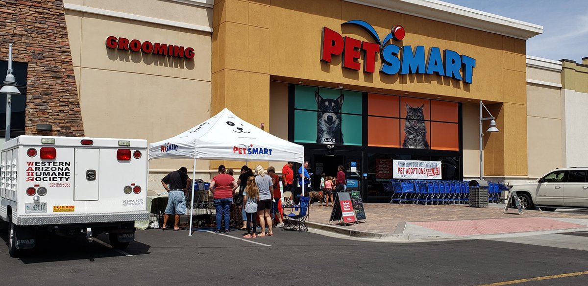 PetSmart1902Havasu tweet media