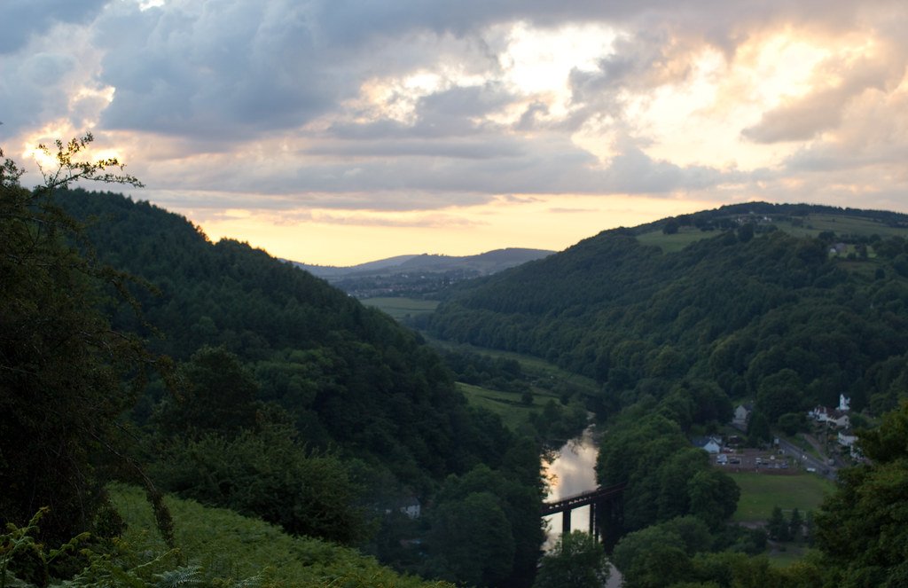 ⊥ 𝕏 tweet media