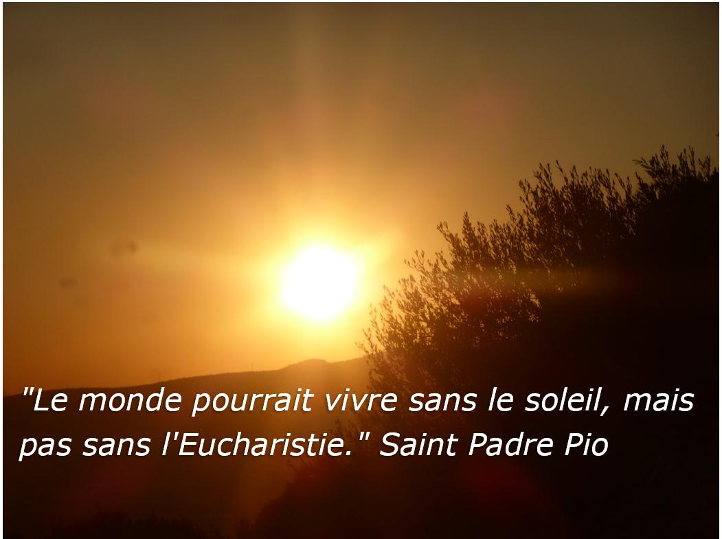 M Citations Le Monde Pourrait Vivre Sans Le Soleil Mais Pas Sans L Eucharistie Saint Padre Pio Jesus T Co O0okup5tk3 Twitter