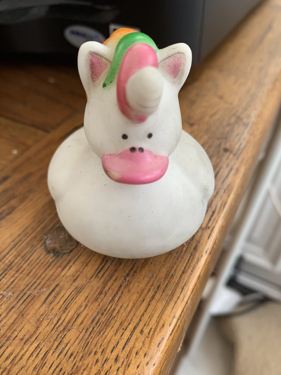 CathFluffybob1's tweet photo. This maybe foolhardy but uniaeroduck is retiring after needing major reconstructive gynae surgery from cycling, she’s not being replaced tmw I will be #duckless https://t.co/6pLNpVUXkd