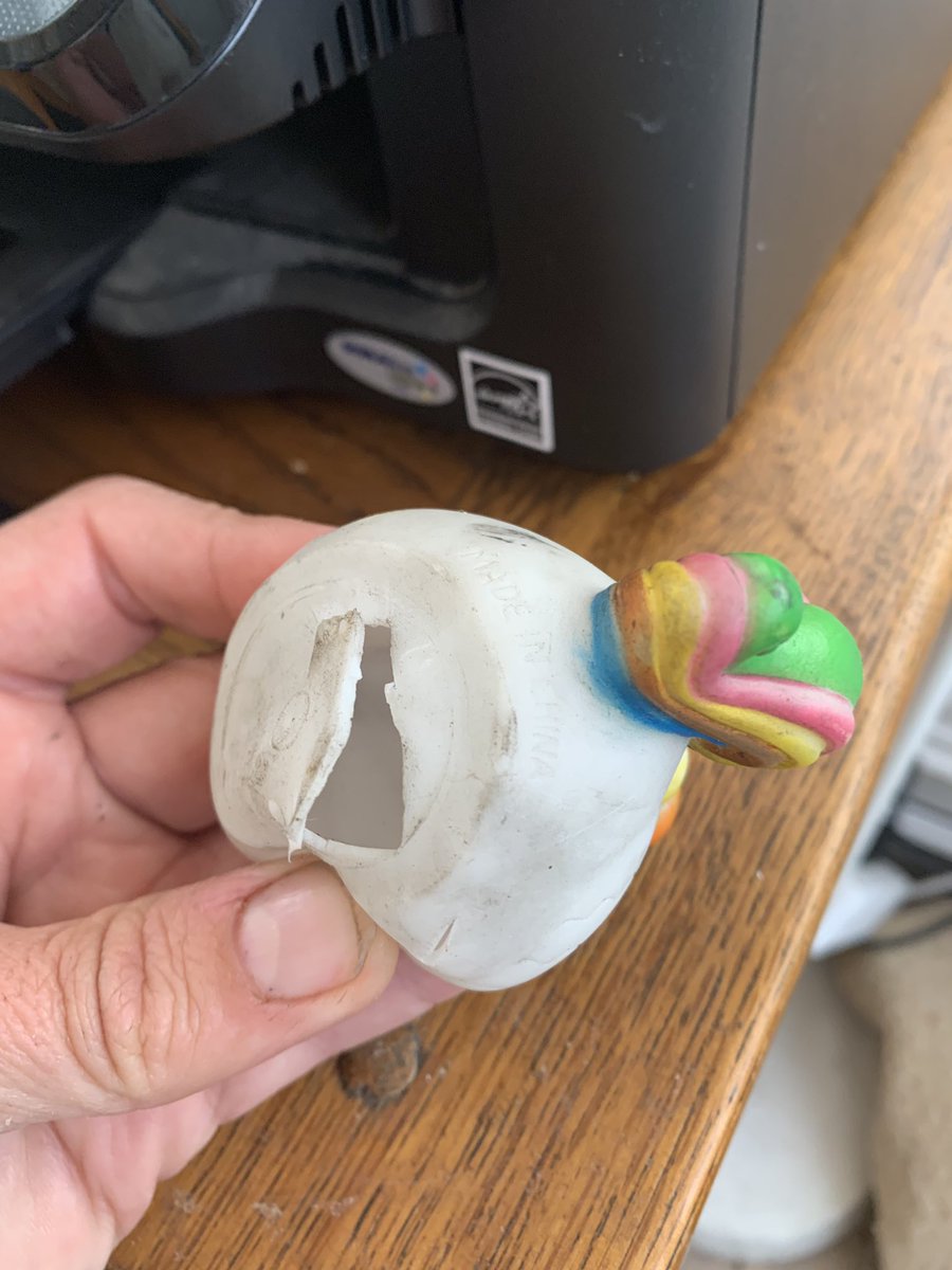 CathFluffybob1's tweet photo. This maybe foolhardy but uniaeroduck is retiring after needing major reconstructive gynae surgery from cycling, she’s not being replaced tmw I will be #duckless https://t.co/6pLNpVUXkd