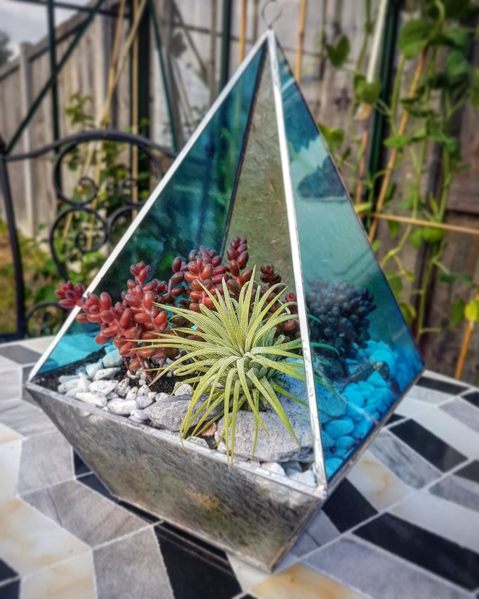greencraftstud's tweet photo. It was a very enjoyable workshop @MillbrookGC. Loving the combination of colours in a #handmade #terrarium.
~
#stainedglass #indoorplants #homedecor #airplants #succulents #microgarden #lovely #craft #unique #onlineshopping #localshop #stainedglassart #etsy #glassartist https://t.co/QfXNT9HKyH