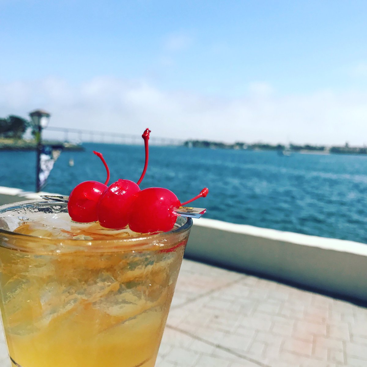 EdgewaterSD's tweet photo. Celebrate #WorldWhiskeyDay with a #whiskeysour ๐ฅ๐ #cocktailwithaview https://t.co/0rMzg7NFTr
