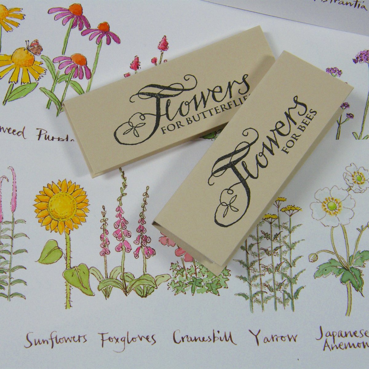 CK_illustration's tweet photo. Had a lovely time at turn the page Artists’ Book Fair in Norwich, where my little books promoting gardening for wild life were really popular.  They’re available to buy on line, just search TheMuseumShelves on Etsy to find me. #gardeningforbees https://t.co/wQQ9Tn2DO5