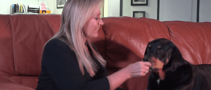 SheriDonahueKY's tweet photo. Last Campaign Update before #PrimaryDay! I answer questions about Kentucky being the #MostCorruptState, what kind of Auditor I will be, and more... Stick around to the end. There is something special for @MattJonesRadio of @KySportsRadio! #TeamSheri https://t.co/rl2PZyBd7p https://t.co/JwvfREEJ0G