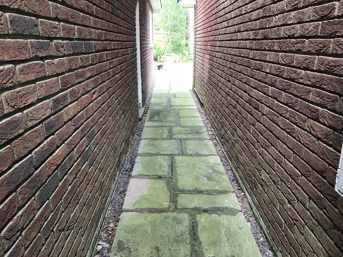 HedgeProDorset's tweet photo. Patio cleaning before and after. Book us in ready for summer!  #patioclean #Bournemouth #Christchurch #poole https://t.co/oZ1uTXUfIY
