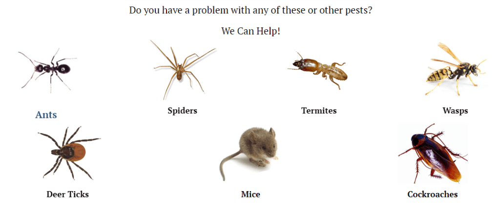 Pesky Critters Saves The Day southernnewhampshirekids.com/?p=12949