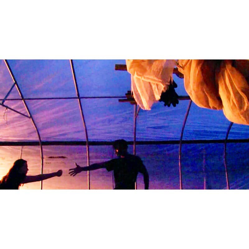 Xsectionfilm's tweet photo. 2 DAYS LEFT! Don't let the deadline slip away! Work on your film today and 2night! Too-gether we got this!
#tobytwo #wordplay #pasdedeux #submitnow #opencall #YouGotThis #boston #bosarts #filmfestival #film #dance #science #dancescience #screendance #xsectionfilmfest #xsff https://t.co/kLK7Y3sWEK