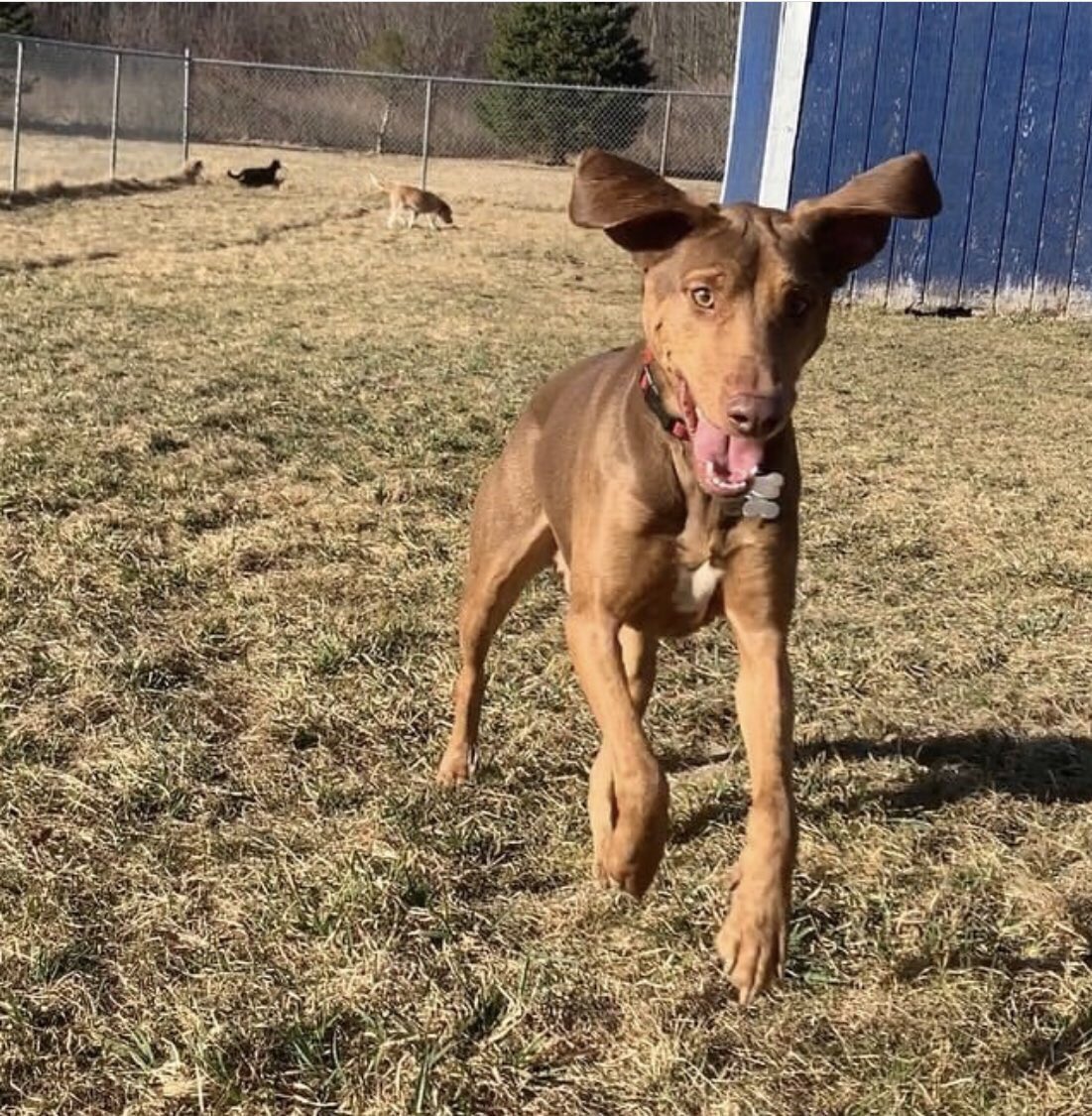 danajacobson's tweet image. Missing my guy Barkley! But can’t wait to see one of his biggest fans... @JohnBeilein #ChadTough @chadtough #ChampionsForChange