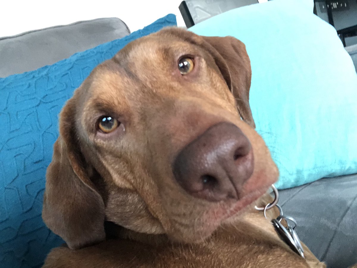 danajacobson's tweet image. Missing my guy Barkley! But can’t wait to see one of his biggest fans... @JohnBeilein #ChadTough @chadtough #ChampionsForChange