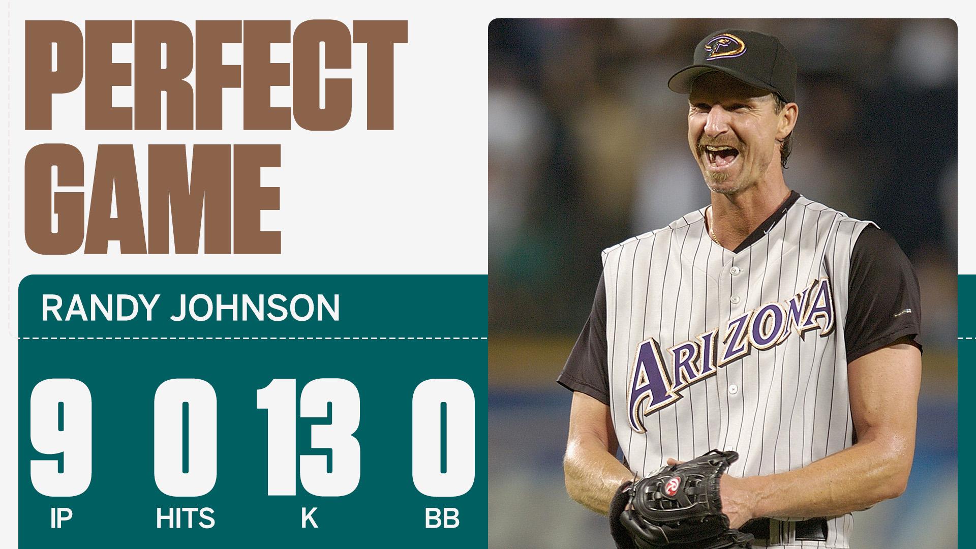 randy johnson perfect game