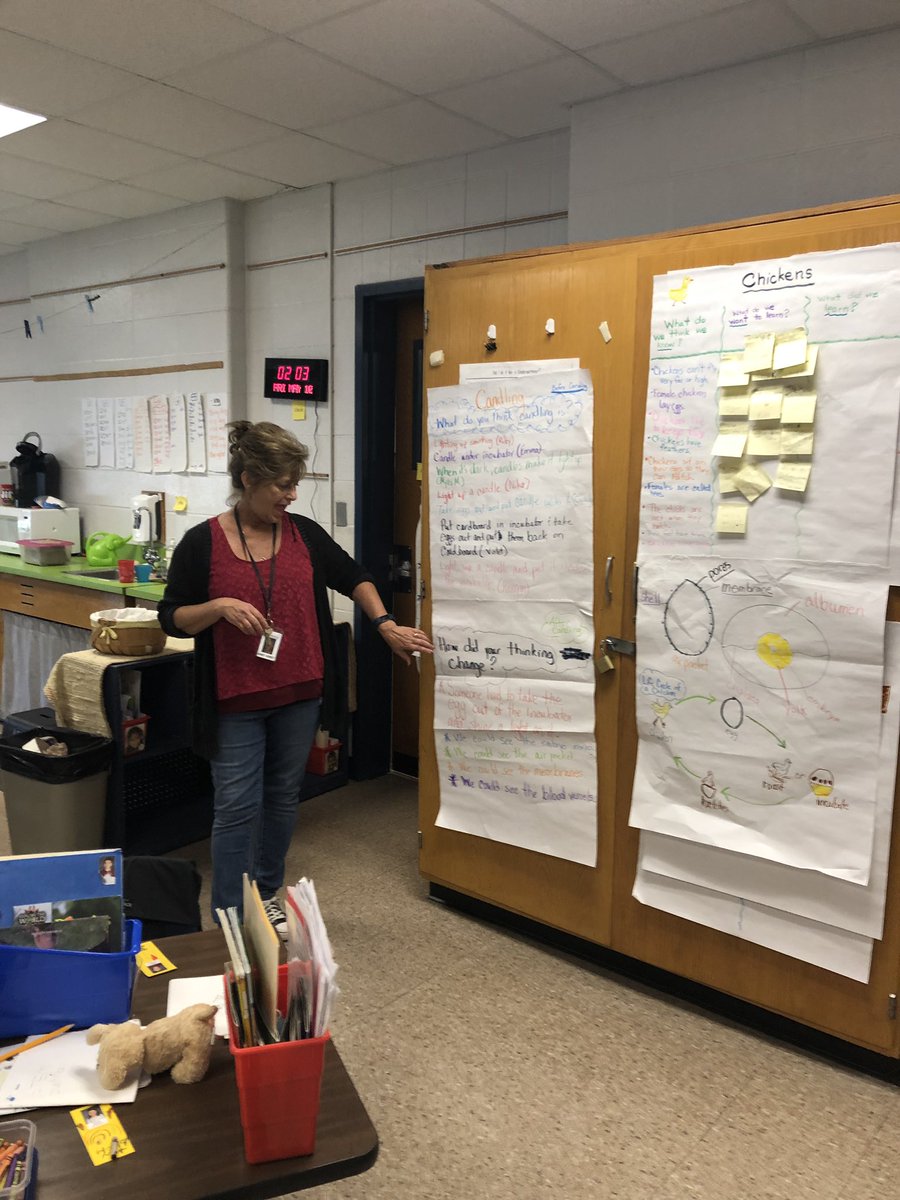 tullyelemjcps's tweet photo. Mrs. Abbey is such an EGGCellent teacher. The students are definitely chick experts. https://t.co/6mmjdmAPN5