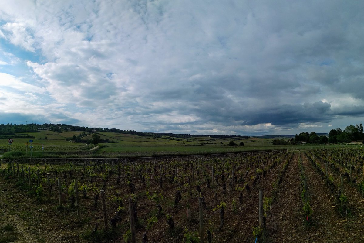lukelliw's tweet photo. grandcrupost @iclgg exploring 🍇🥖🍷 https://t.co/DyraQCJl1u