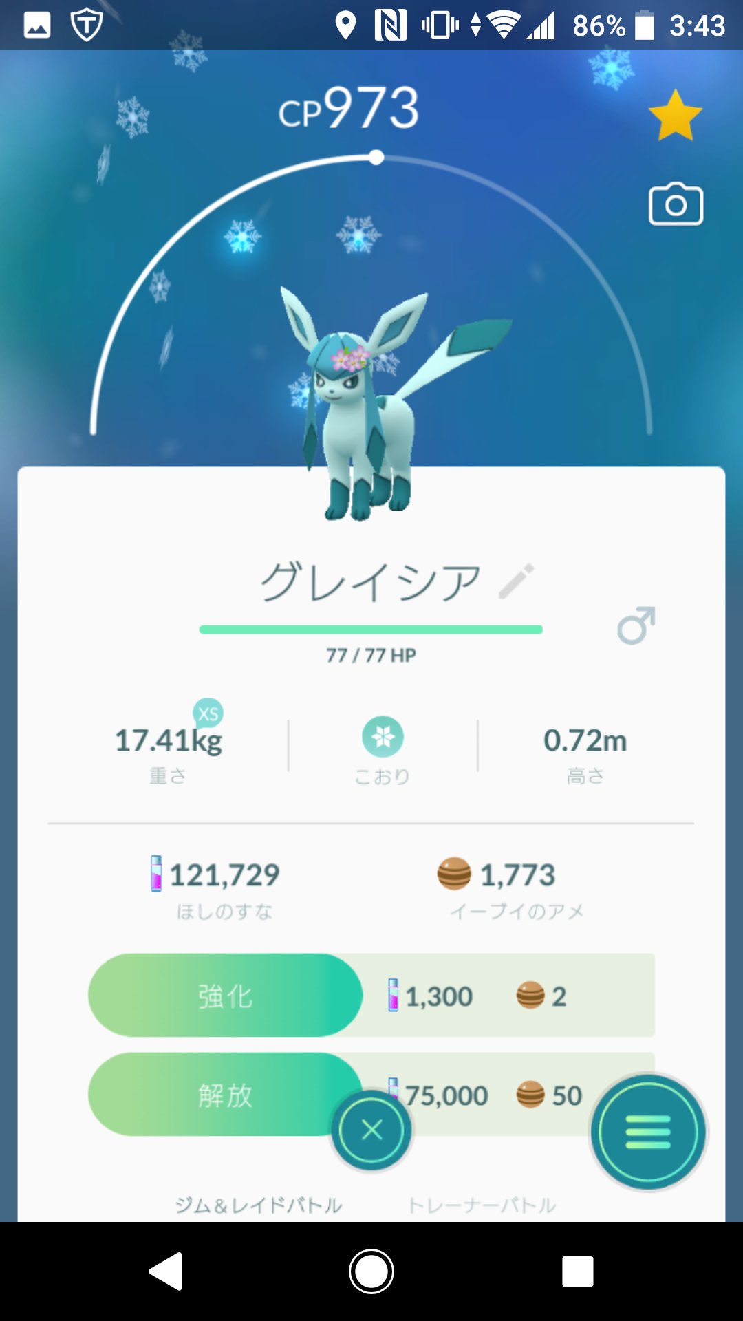 花飾りリーフィア Twitter Search Twitter