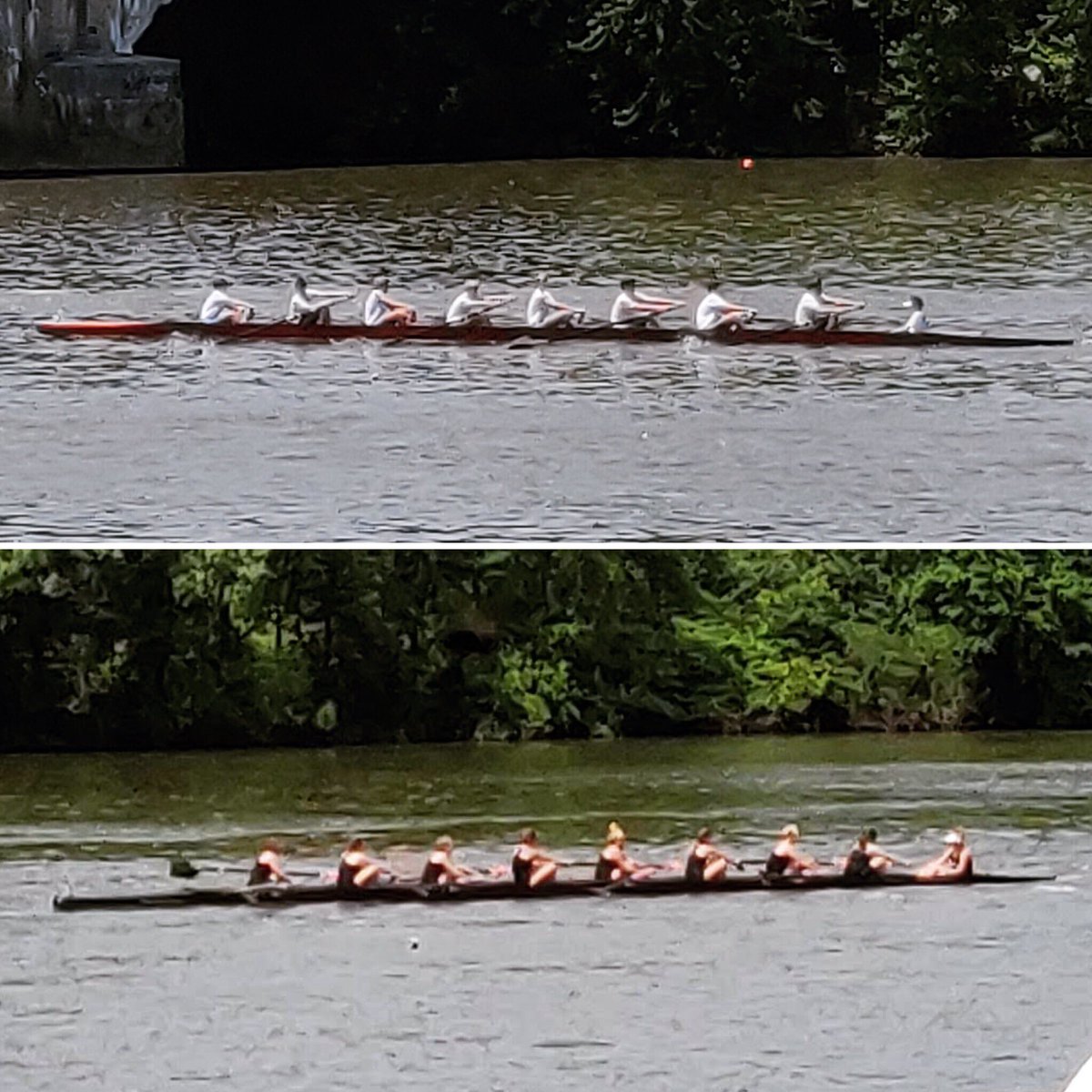 WhitmanCrew's tweet photo. Exciting to see our Freshman crews advance to and row finals in their first #Stotesbury Cup Regatta!
Congratulations Men’s Freshman 8 & Women’s Freshman 8 on the capstone to your first year of #rowing like Vikings!
#RowLikeAViking Whitman #Crew #stotes #stotesregatta https://t.co/FzL4Aanaip