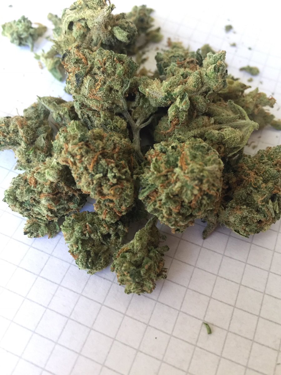 weedparis75's tweet photo. Livraison weed dans tout Paris 🍁 venez dm🔥 https://t.co/AtSEUajeu5