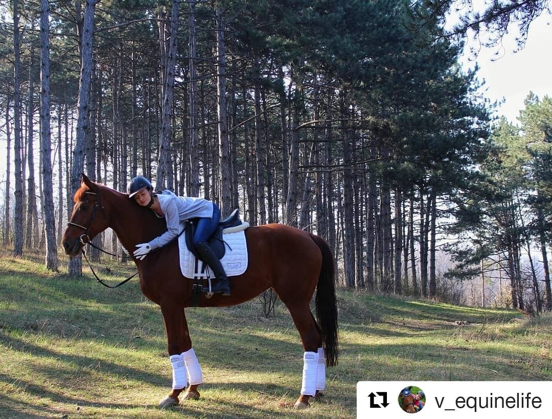 Stunning photo of HUSK Ambassador Valeria and Agata enjoying a woodland ride in Moldova
.
Agata wears the HUSK Dressage kit to stay cool...
.
View the range online here thehusk.co.uk/collections/dr…
#husk #husktechnology #dressage #dressagerider #horsechathour #equine #Horses