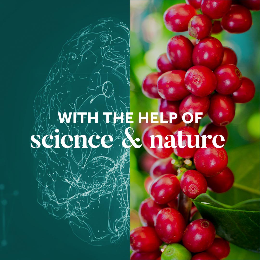 Neuriva_US's tweet image. When science and nature meet 🎇
#BrainBetter at neuriva.com