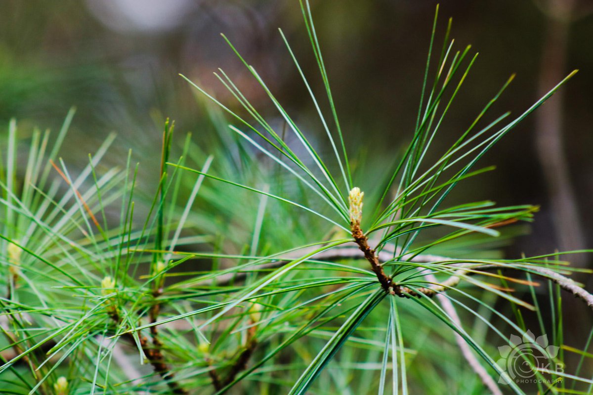 Thanks to all who came today! We had a great turnout and even the sun showed up! #livingck <a href="/WheatleyOntario/">Wheatley Ontario</a> #TwoCreeks #MuddyButWorthIt