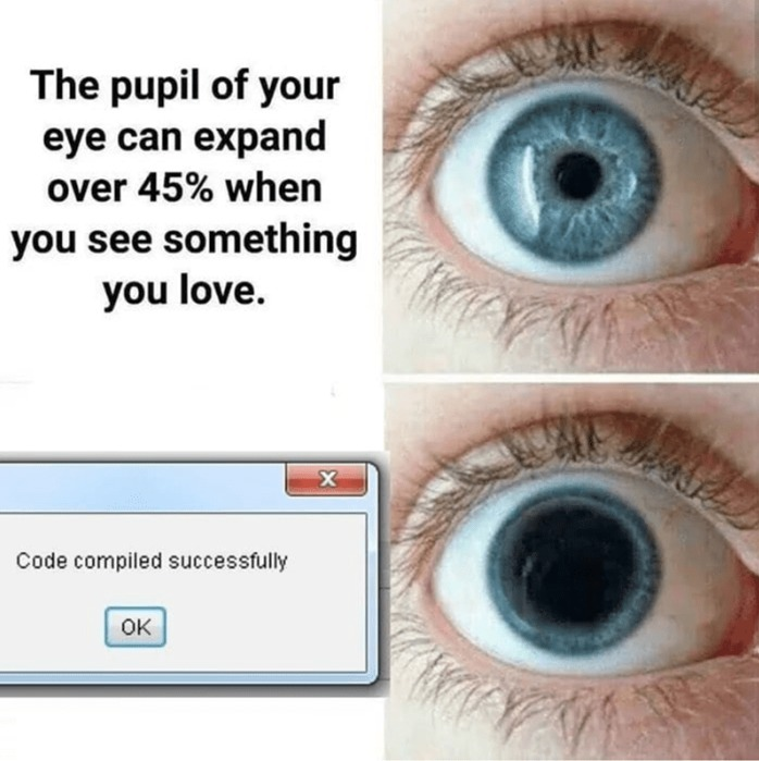 Some of us can definitely relate!

#IndieGameDev #GameDev #TheReef #GetPaidToPlay #Meme