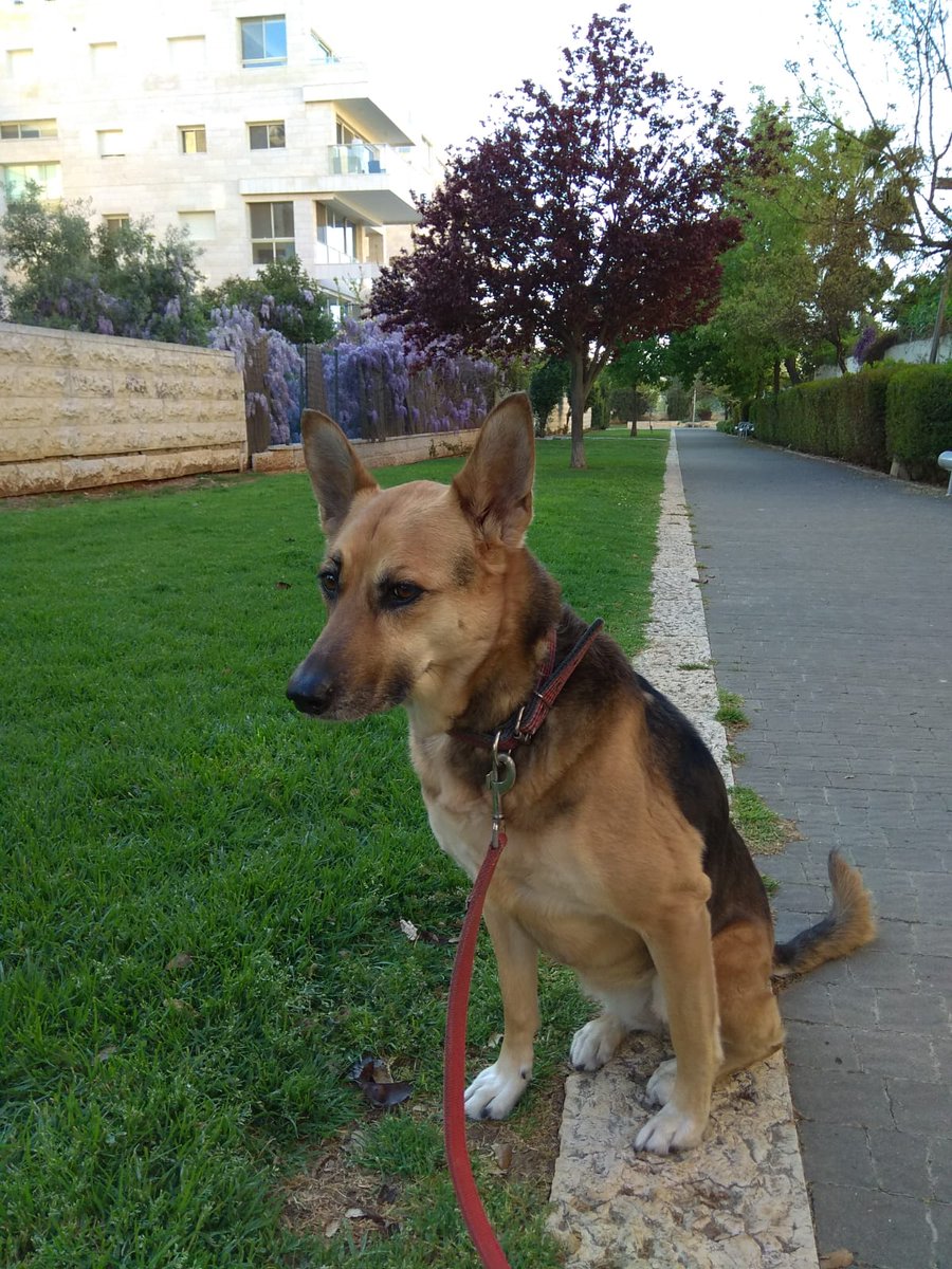 DiplomApchi's tweet photo. thinking about #spring https://t.co/HZKKmyJxp7
