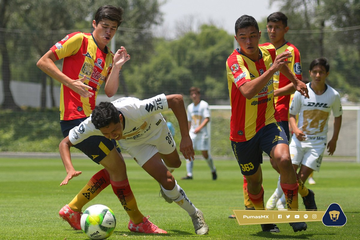 PumasMX's tweet photo. ¡#VengaCantera!

Nuestros Pumas derrotaron 6 - 1 a Morelia en el marcador global y disputarán la Gran Final del #CL19 de la @LIGABancomerMX. 

#UnidosVenceremos #SoyDePumas https://t.co/p17NKtIJUG