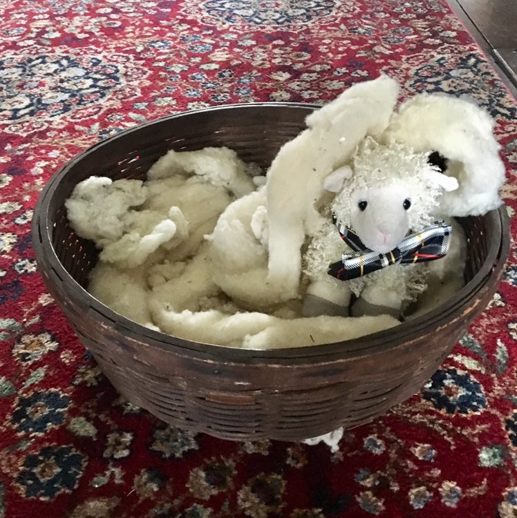 SpringHillHH's tweet photo. Wool you come take some photos with me? Maybe this summer? Or share photos of my beautiful #springhillhh? #photoMW https://t.co/nTLqps71Ue