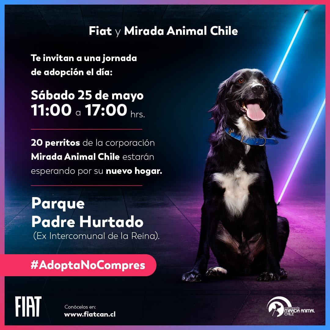 Gran jornada de adopción @FiatCL y Mirada Animal Chile. Te esperamos en Parque Padre Hurtado, sábado 25 mayo a las 11:00h.