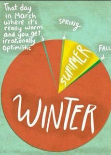 AlisunJane's tweet image. Spring doesn’t come #BeforeSummer in New England