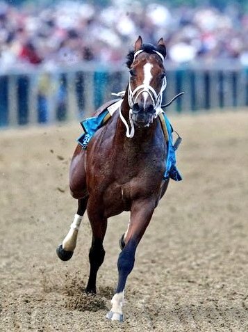 Leahbrandon's tweet photo. Live like someone left the gate open!
And you dumped your rider.
#Bodexpress https://t.co/E3uBcCSX9n