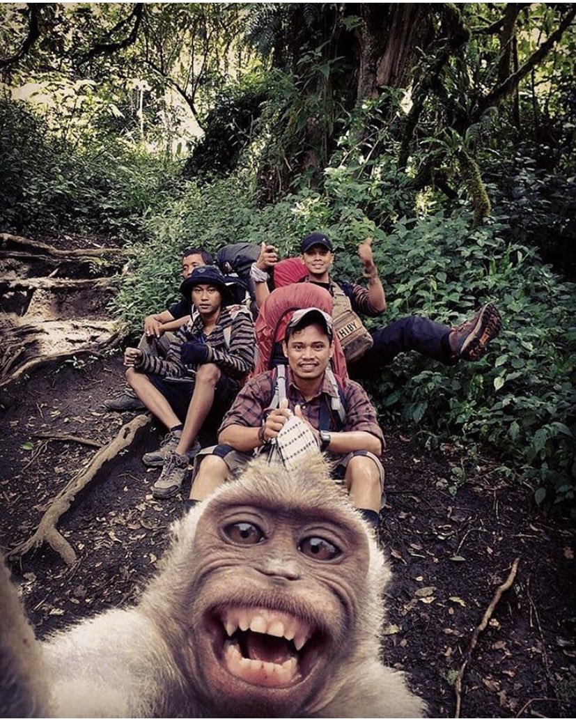Me tome una selfie con unos compas