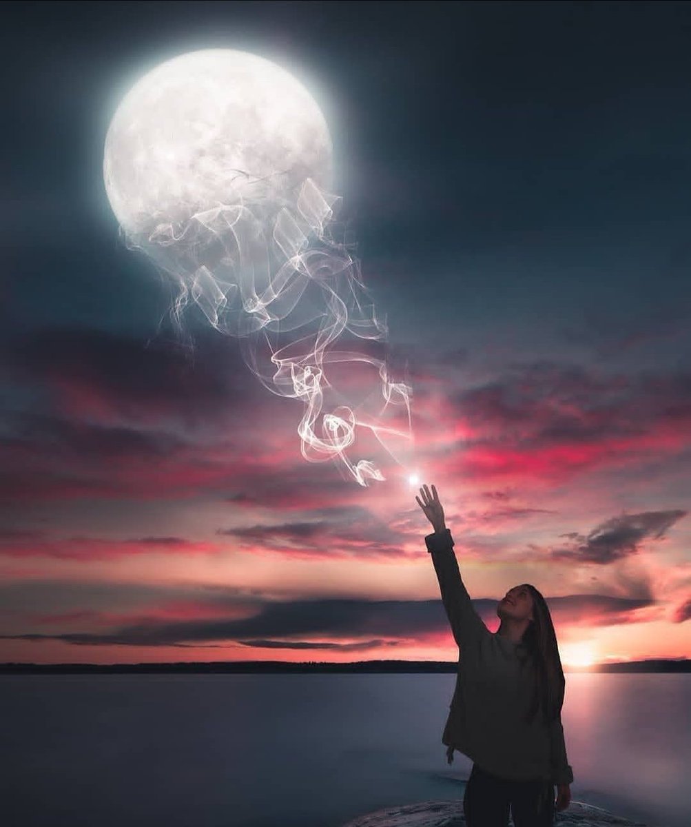 Una Simple Mortal tweet media