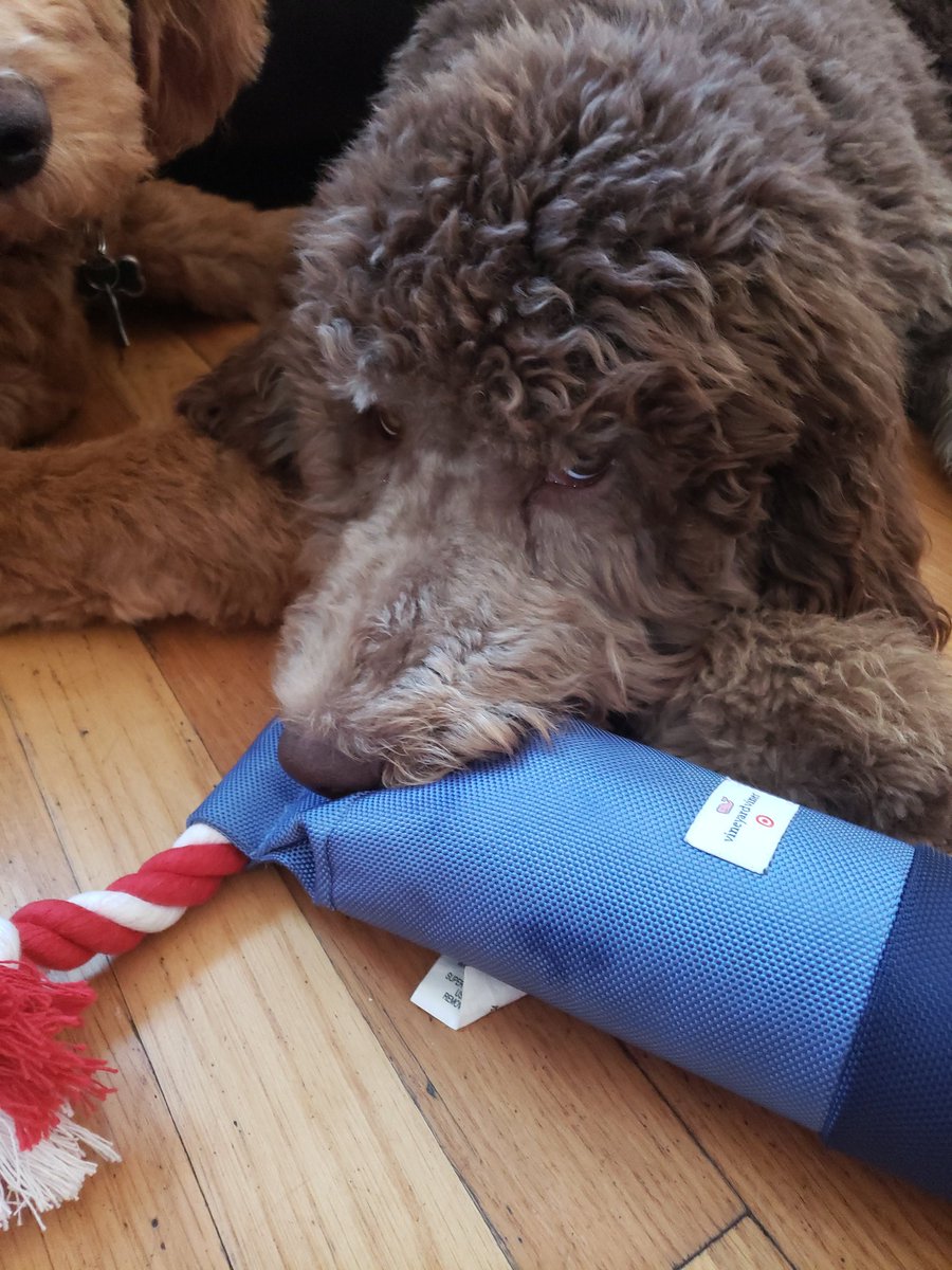 #vineyardvinesForTarget 
#doggiesmom